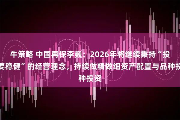 牛策略 中国再保李巍：2026年将继续秉持“投资要稳健”的经营理念，持续做精做细资产配置与品种投资